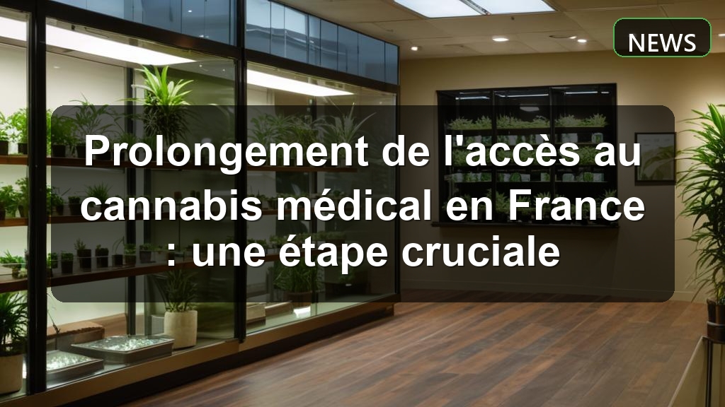 Prolongement de l'accès au cannabis médical en France : une étape cruciale